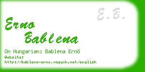 erno bablena business card